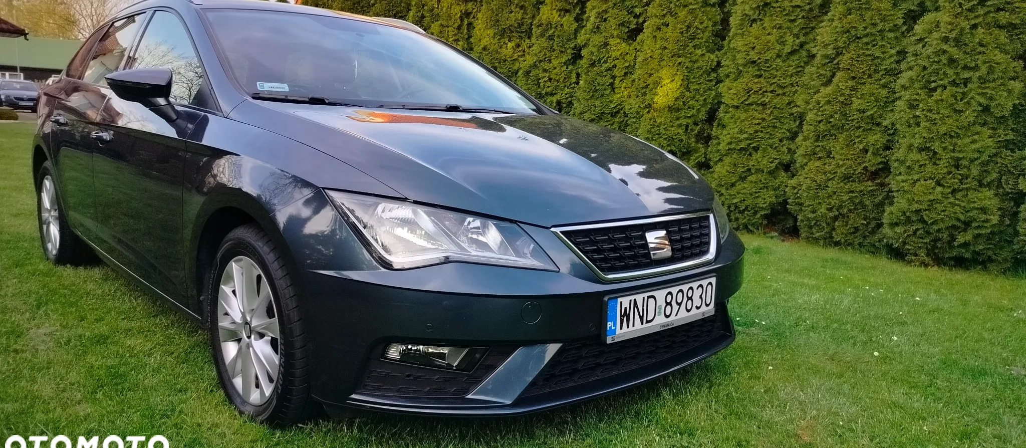 Seat Leon cena 67000 przebieg: 51000, rok produkcji 2020 z Częstochowa małe 46